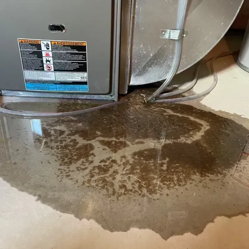 Appliance Leak Cleanup in Linn, MO